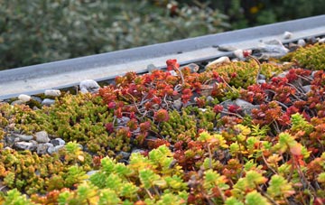 the cost of Down Hall green roof installation