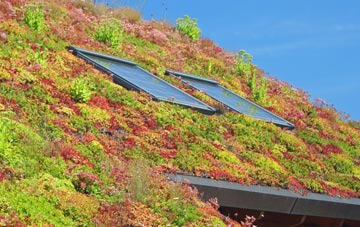 Down Hall living roof systems